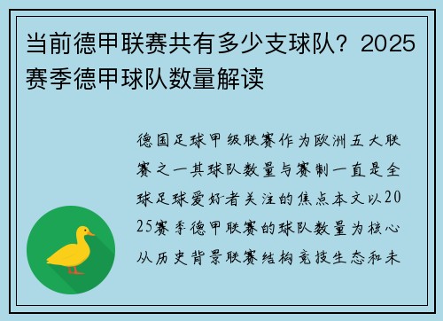 当前德甲联赛共有多少支球队？2025赛季德甲球队数量解读