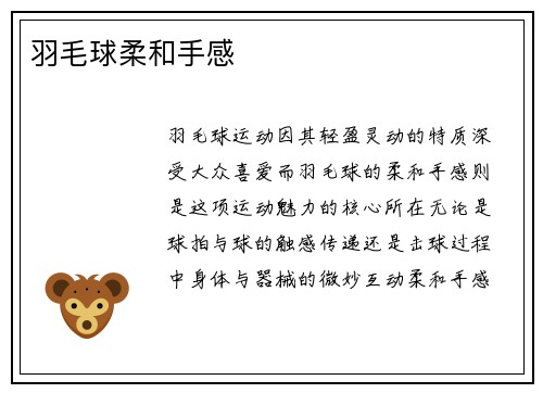 羽毛球柔和手感